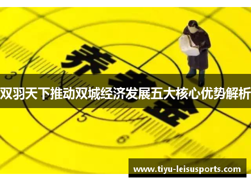 双羽天下推动双城经济发展五大核心优势解析