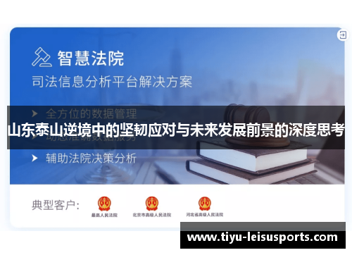 山东泰山逆境中的坚韧应对与未来发展前景的深度思考