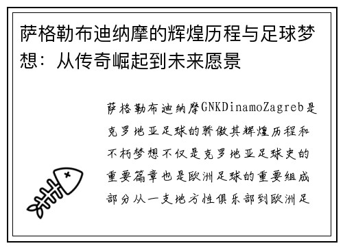 萨格勒布迪纳摩的辉煌历程与足球梦想：从传奇崛起到未来愿景