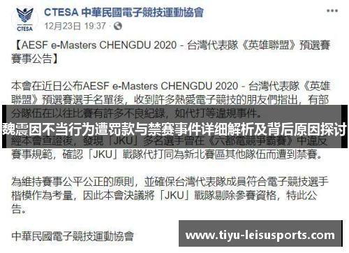 魏震因不当行为遭罚款与禁赛事件详细解析及背后原因探讨